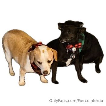 IRONFIREs FierceInfern / fierceinferno nude photo #24