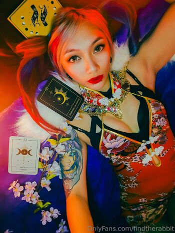 findtherabbit / find_the_rabbit nude photo #1