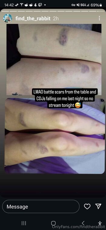 findtherabbit / find_the_rabbit nude photo #9