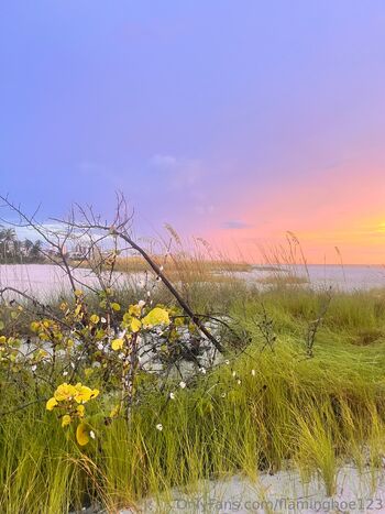 Alex / flaminghoe123 nude photo #18