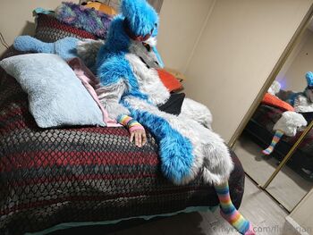 Rasca / fluffarian nude photo #33