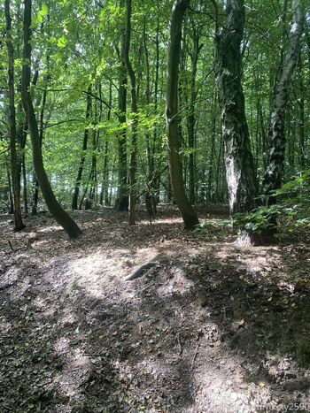 Lil Red fox fre / foxxy2590 / london_foxy90 / naughtywild8163 nude photo #38