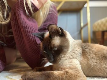 Bunbun FREE / freebunbun / 9bunbunn nude photo #17