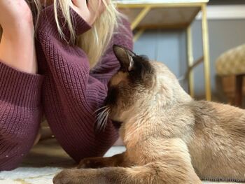 Bunbun FREE / freebunbun / 9bunbunn nude photo #18