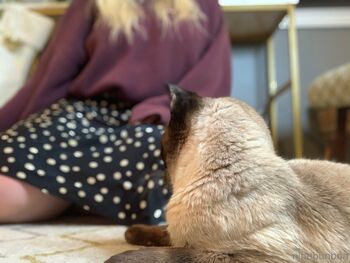 Bunbun FREE / freebunbun / 9bunbunn nude photo #19