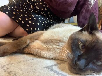 Bunbun FREE / freebunbun / 9bunbunn nude photo #20