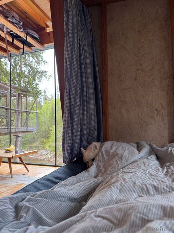 Adeline Frost / freefrost nude photo #13