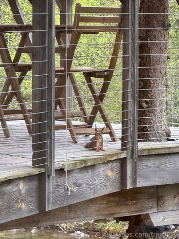 Adeline Frost / freefrost nude photo #14