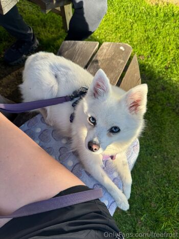 Adeline Frost / freefrost nude photo #29