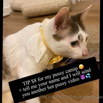 𝗛𝗢𝗥𝗡𝗬 𝐓𝐢𝐠𝐡𝐭 𝐀𝐬𝐢𝐚𝐧 / freekatycupcake nude photo #7