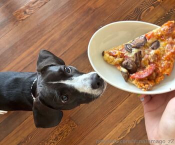 YunaTamago_Fre / freetamago_zz nude photo #3