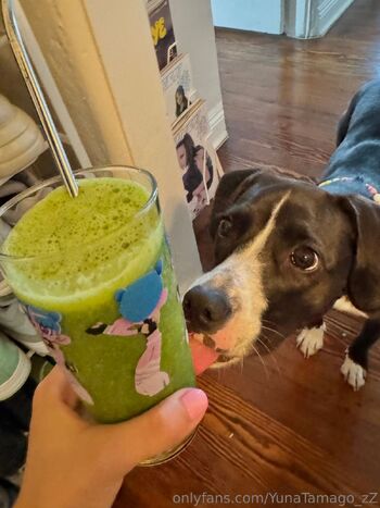 YunaTamago_Fre / freetamago_zz nude photo #5