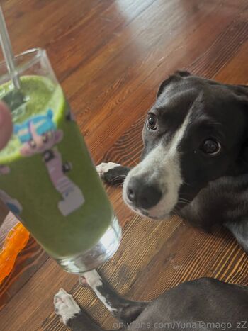 YunaTamago_Fre / freetamago_zz nude photo #23