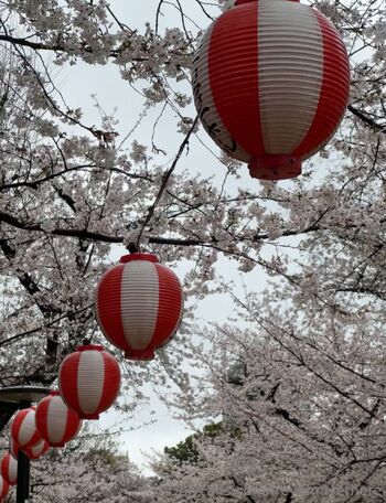 Freya Maye / freyamayerhere nude photo #24