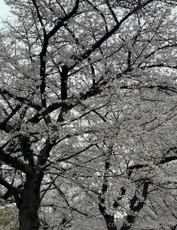 Freya Maye / freyamayerhere nude photo #25