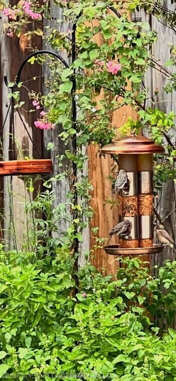 FTTMar / fttbubbles nude photo #21