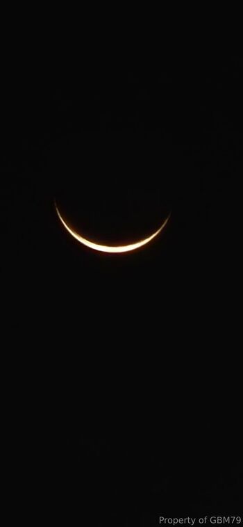 Gbm79 Drawings and Banner / gbm79 nude photo #2