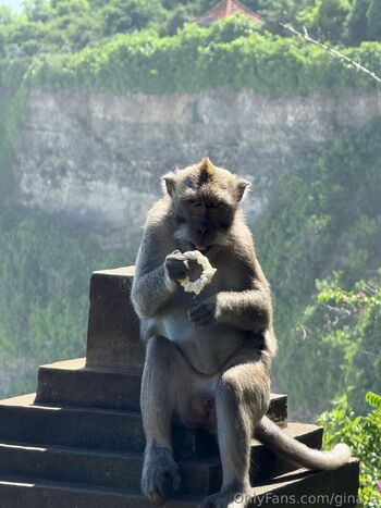 Gina / gina_a / giina_a1 nude photo #7