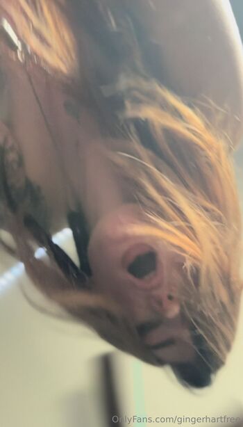 Har / gingerhartfree nude photo #2