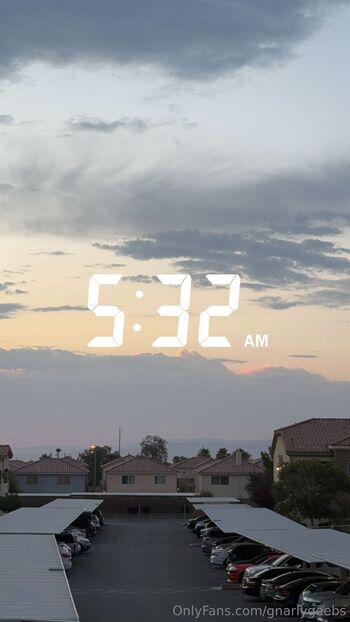 Shelby / gnarlygeebs nude photo #18