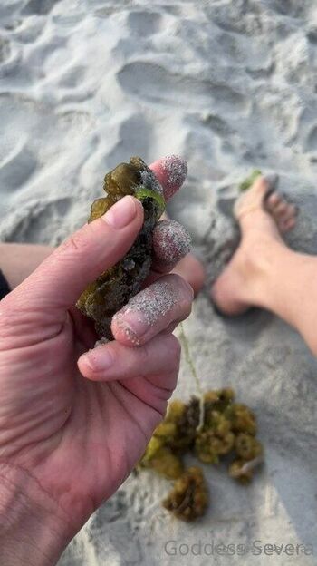 Goddess Severa / goddesssevera2 nude photo #9