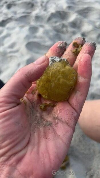 Goddess Severa / goddesssevera2 nude photo #11