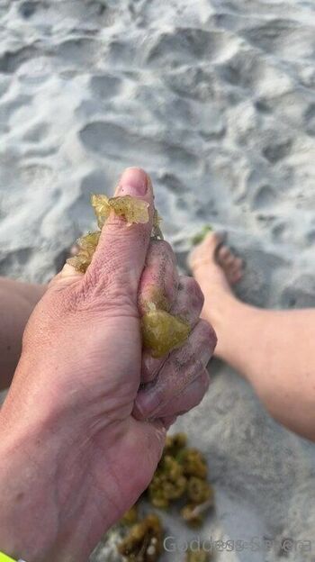 Goddess Severa / goddesssevera2 nude photo #12