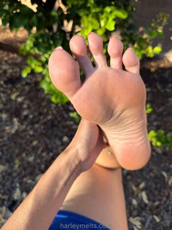 harley melts / harleymelts nude photo #25