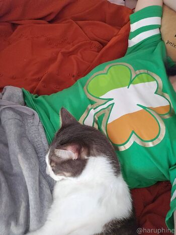 𓆩Haru / haruphine nude photo #16