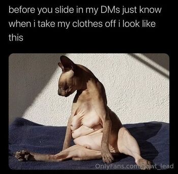 Hawt_Lea / hawt_lead nude photo #1