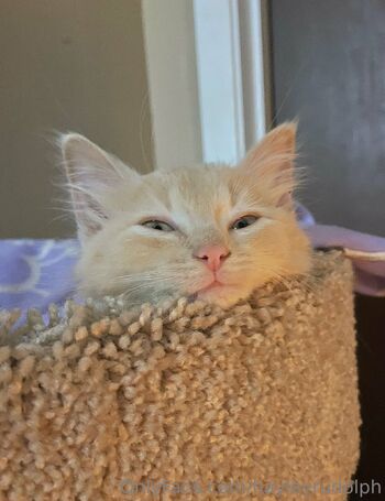 hayleyrudolph nude photo #21