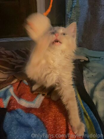 hayleyrudolph nude photo #22