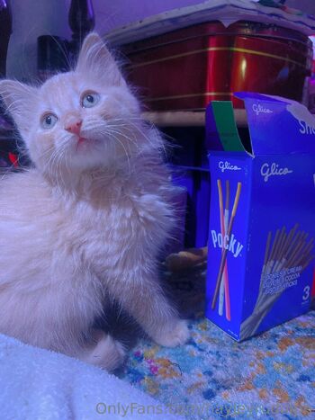 hayleyrudolph nude photo #23