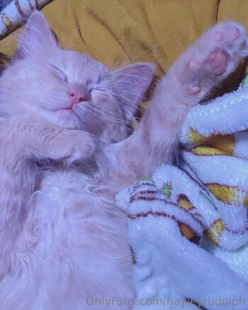 hayleyrudolph nude photo #24