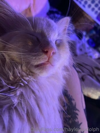 hayleyrudolph nude photo #25