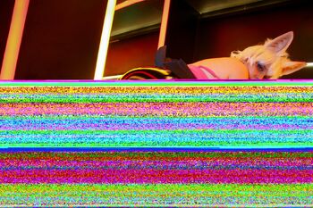 FREE Hcherrycak / hcherrycakefree / _harucake nude photo #9