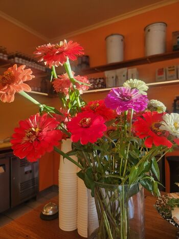 Elois / helloeloise nude photo #32