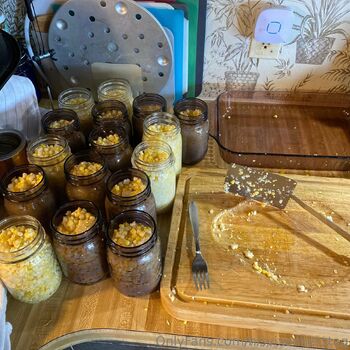 HisVixenHerSta / hisvixenherstag nude photo #11