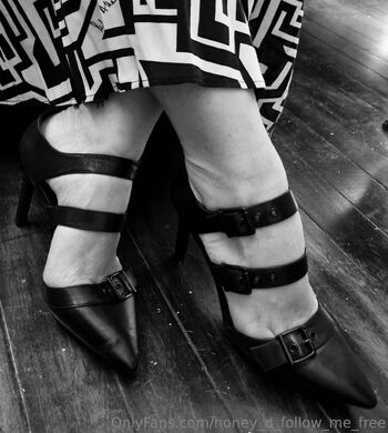 honey d follow me free