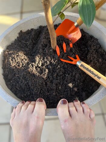 IamBellaSexyFee / iambellasexyfeet nude photo #5