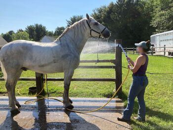 Ell / ideal_elle nude photo #3