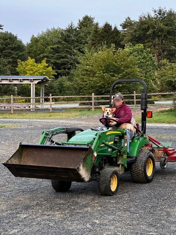 Ell / ideal_elle nude photo #5