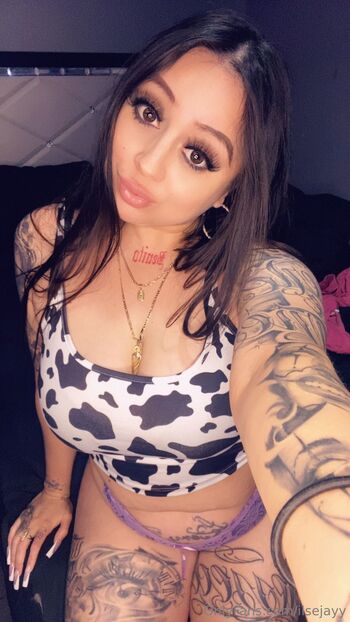 ilse / ilsejayy / mamasilse / illmindsz nude photo #1