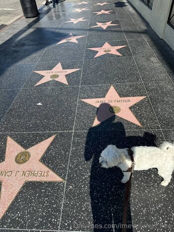 Eve Sweet / imevesweet.free nude photo #8