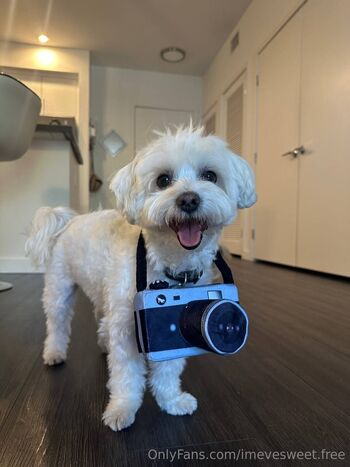 Eve Sweet / imevesweet.free nude photo #39