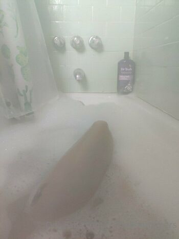 Iris Alexandri / iris_lexi.summers nude photo #35