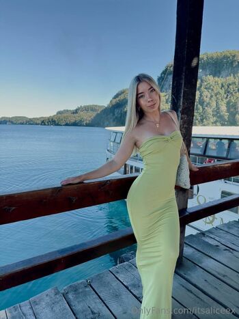 OnlyFans / itsaliceex nude photo #28