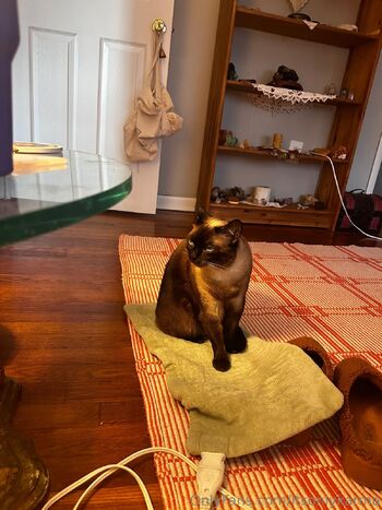 Karma-Kimberl / itsonlykarma nude photo #11