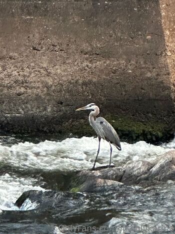 Karma-Kimberl / itsonlykarma nude photo #39