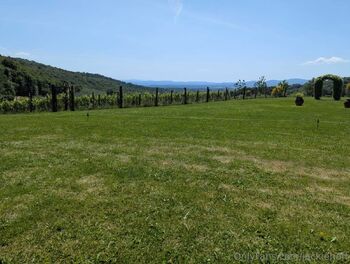 Jackie Hof / jackiehoff nude photo #13